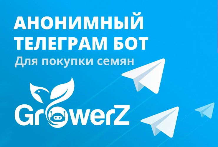 Телеграм бот GrowerZ купить семена конопли